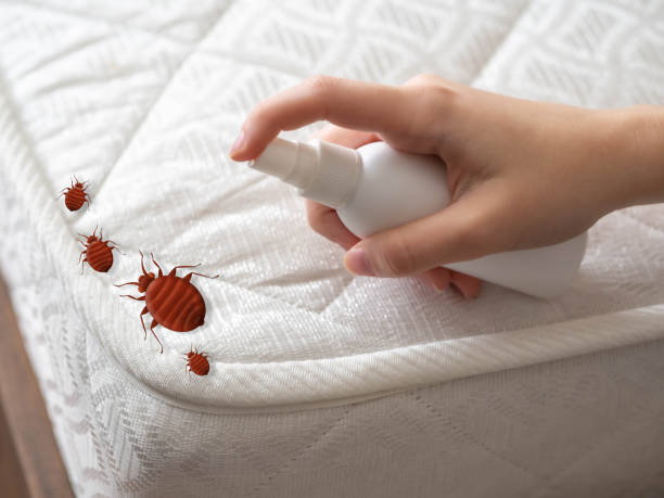 Professional Pest Control in Old Hill, CT